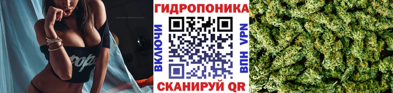 Продажа наркотиков Лосино-Петровский COCAIN  blacksprut ССЫЛКА  APVP  Каннабис  ГАШИШ 