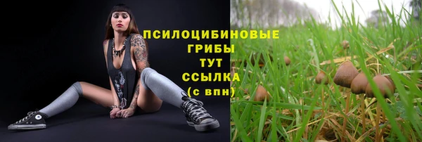 альфа пвп Володарск