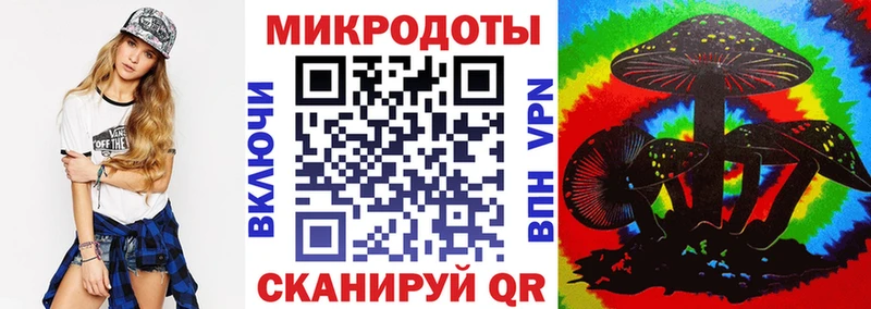сколько стоит  Лосино-Петровский  Псилоцибиновые грибы Psilocybe 